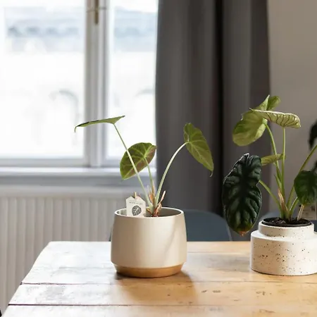 Apartament Budapestayz - Izabella *