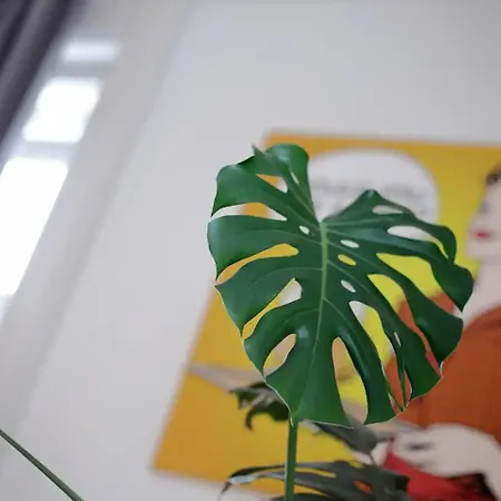 Budapestayz - Izabella *