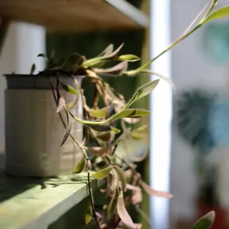 Budapestayz - Izabella דירה *