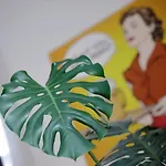 Budapestayz - Izabella *