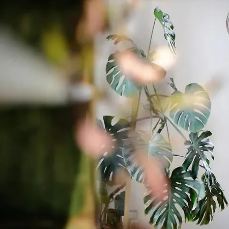 아파트 Budapestayz - Izabella *